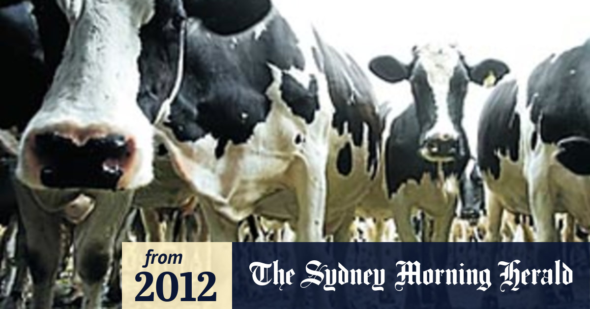 Livestock industry backs plan to load more cattle onto trucks